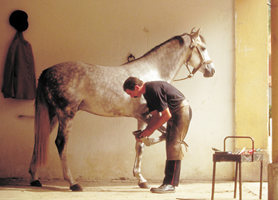 farrier